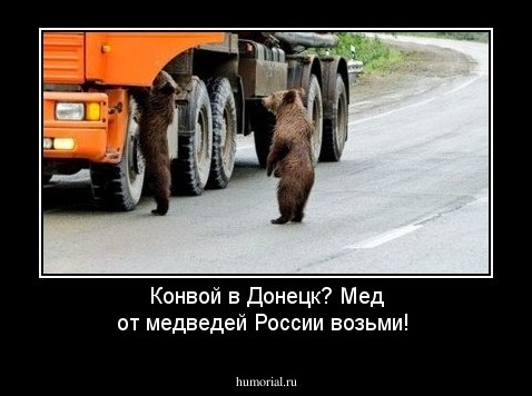 Конвой в Донецк? Мед от медведей России  возьми!