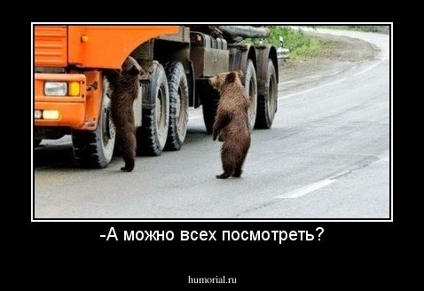 -А можно всех посмотреть?