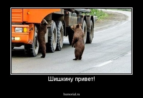 Шишкину привет!