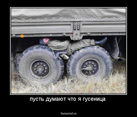 пусть думают что я гусеница 