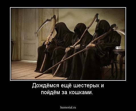 Дождёмся ещё шестерых и пойдём за кошками. 