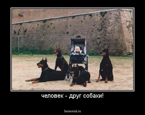 человек - друг собаки!