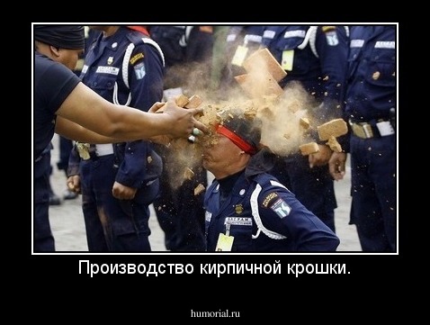 Производство кирпичной крошки.