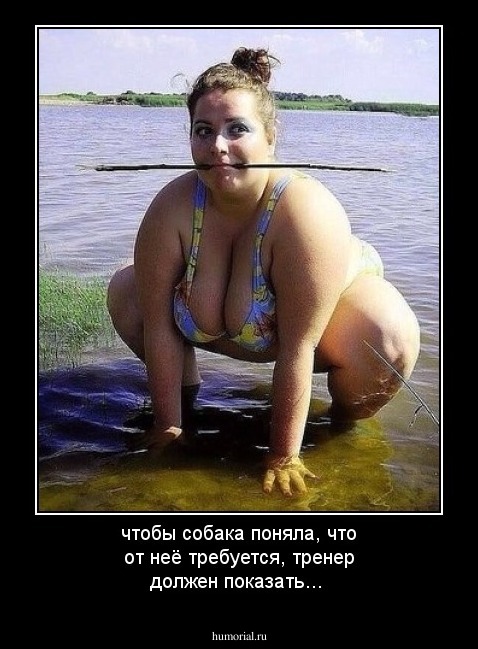 чтобы собака поняла, что от неё требуется, тренер должен показать...