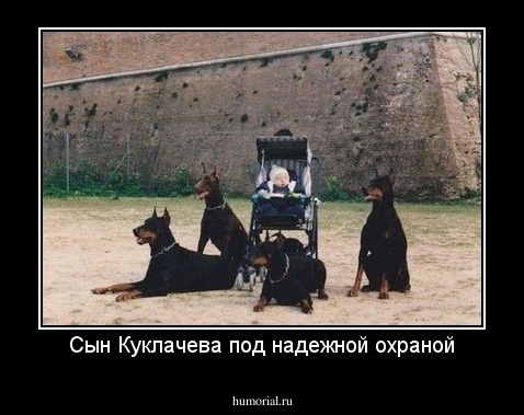 Сын Куклачева под надежной охраной