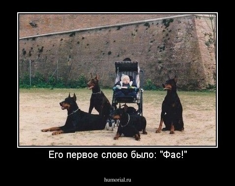 Его первое слово было: "Фас!"