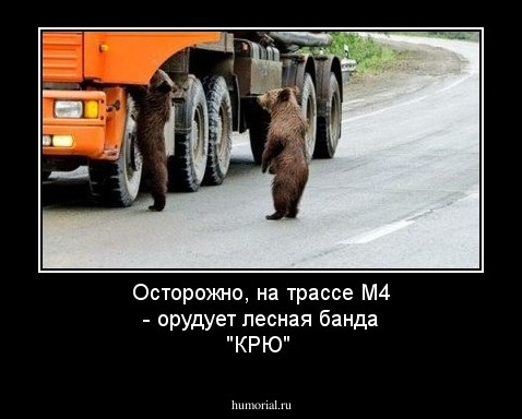 Осторожно, на трассе М4 - орудует лесная банда "КРЮ"