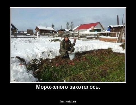Мороженого захотелось.