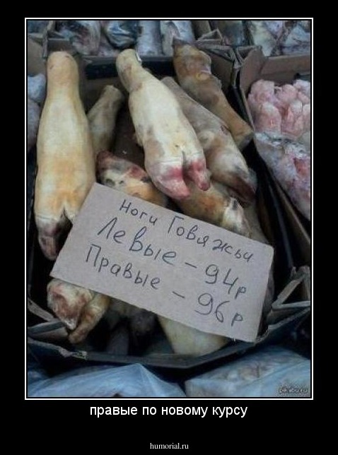 правые по новому курсу
