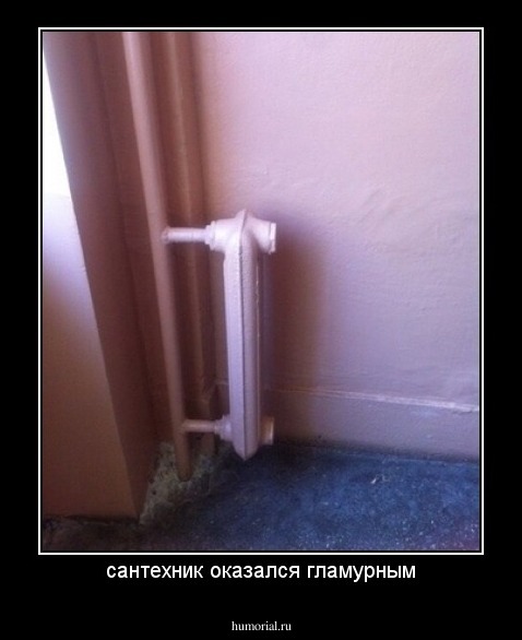 сантехник оказался гламурным