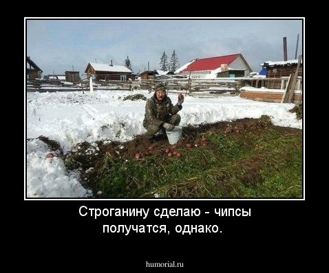 Строганину сделаю - чипсы получатся, однако. 