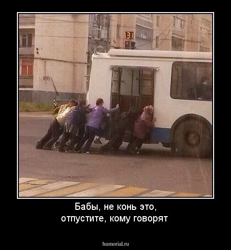 Бабы, не конь это, отпустите, кому говорят