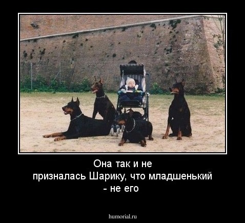 Она так и не призналась Шарику, что младшенький - не его