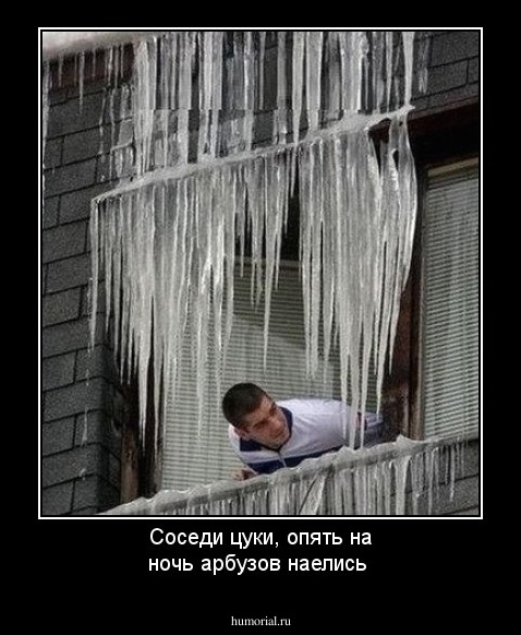 Соседи цуки, опять на ночь арбузов наелись