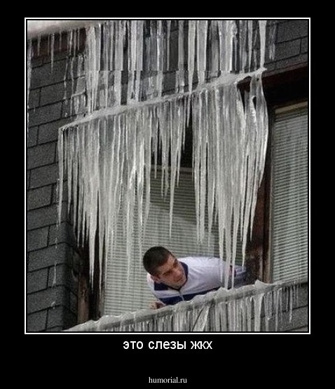 это слезы жкх