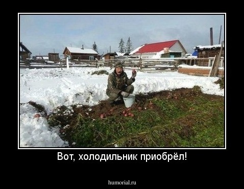 Вот, холодильник приобрёл!