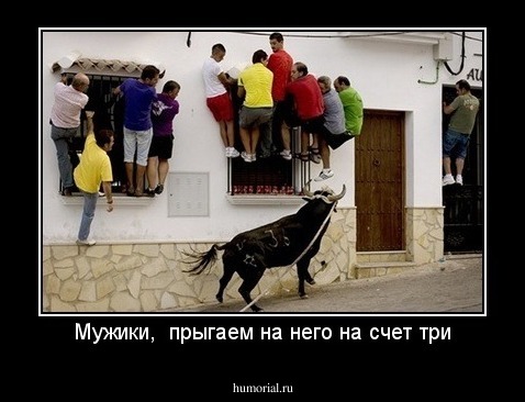 Мужики,  прыгаем на него на счет три