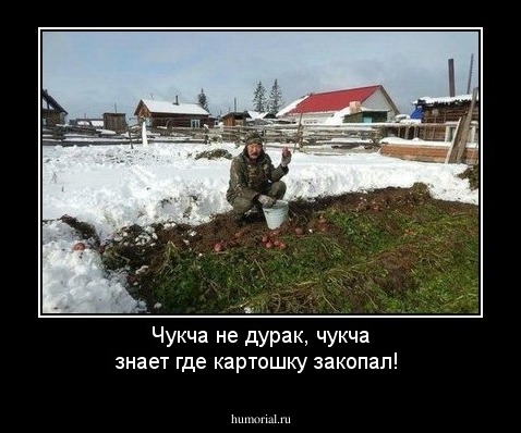 Чукча не дурак, чукча знает где картошку закопал!