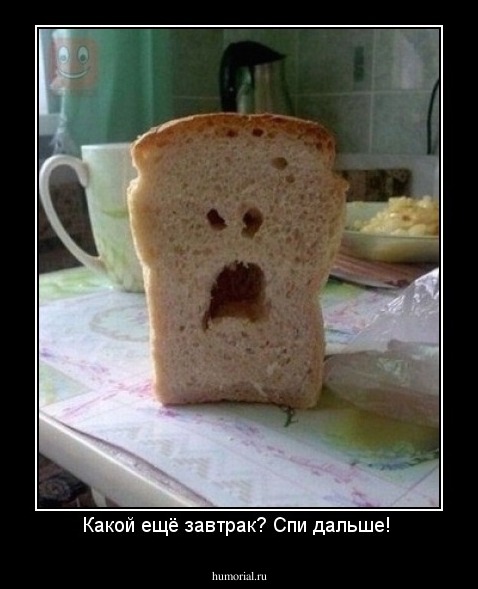 Какой ещё завтрак? Спи дальше! 