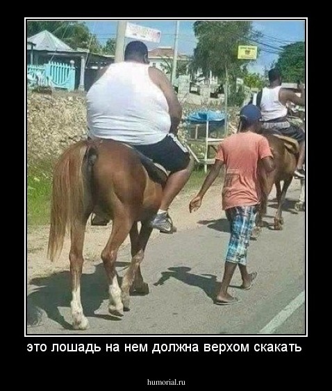 это лошадь на нем должна верхом скакать 