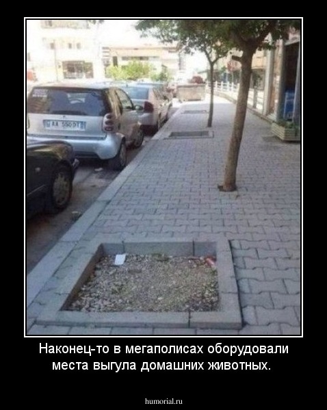 Наконец-то в мегаполисах оборудовали места выгула домашних животных.