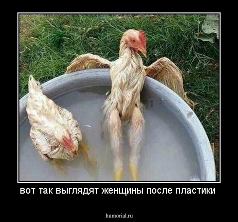 вот так выглядят женщины после пластики 