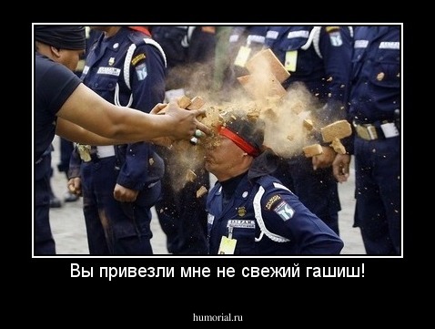 Вы привезли мне не свежий гашиш!