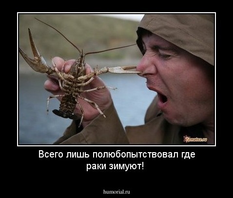 Всего лишь полюбопытствовал где раки зимуют!