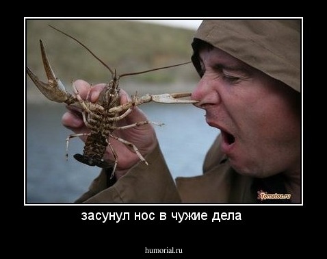 засунул нос в чужие дела 