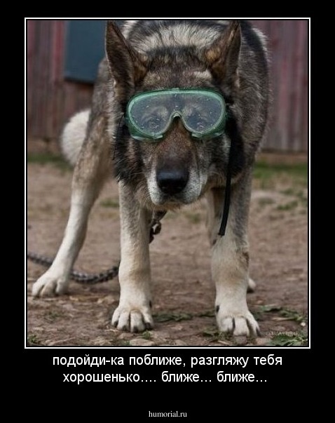 подойди-ка поближе, разгляжу тебя хорошенько.... ближе... ближе...