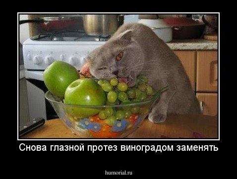 Снова глазной протез виноградом заменять