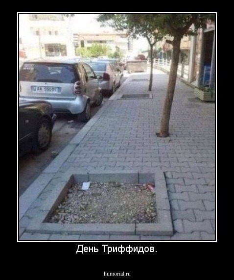 День Триффидов.