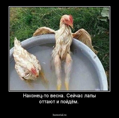 Наконец-то весна. Сейчас лапы оттают и пойдём.