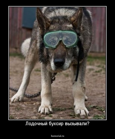 Лодочный буксир вызывали?