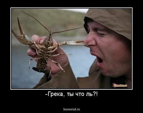 -Грека, ты что ль?!