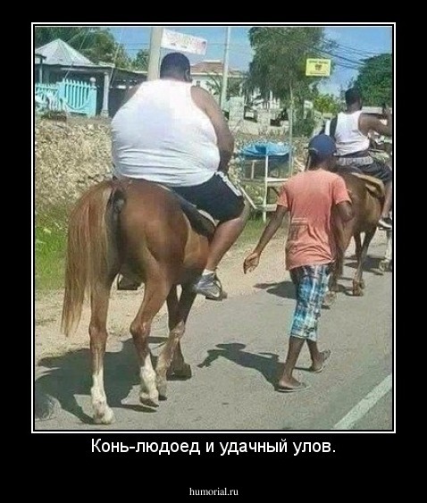 Конь-людоед и удачный улов.