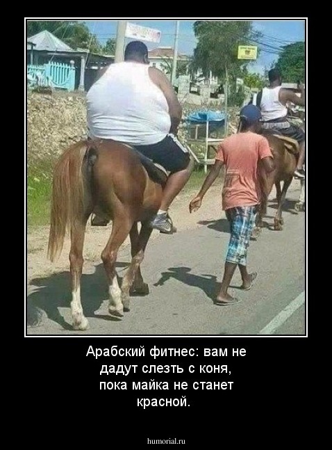 Арабский фитнес: вам не дадут слезть с коня, пока майка не станет красной.