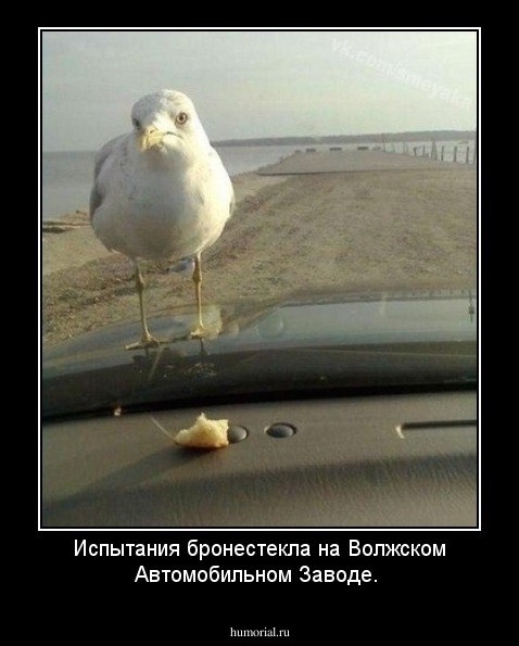 Испытания бронестекла на Волжском Автомобильном Заводе.
