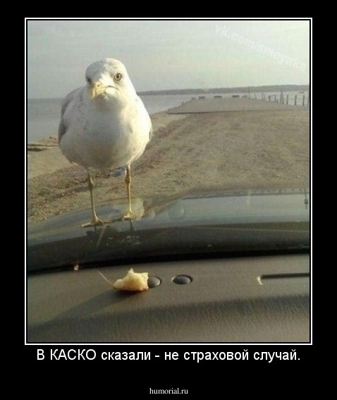 В КАСКО сказали - не страховой случай.