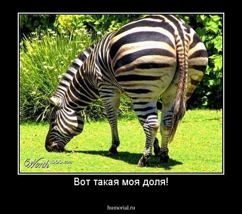 Вот такая моя доля!