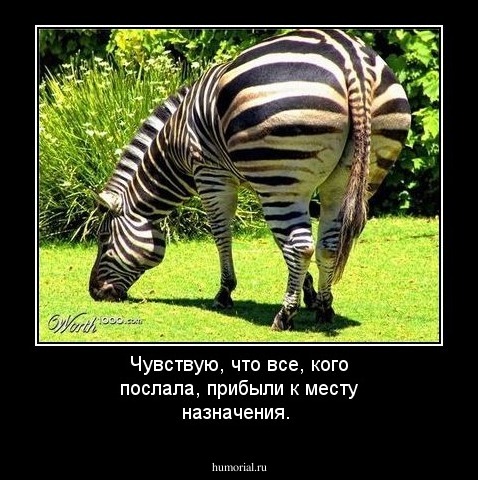Чувствую, что все, кого послала, прибыли к месту назначения.