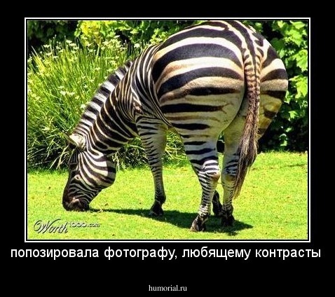 попозировала фотографу, любящему контрасты