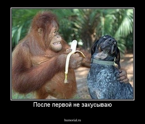 После первой не закусываю
