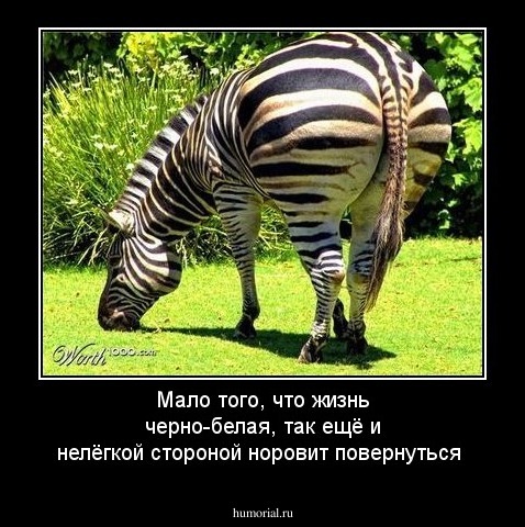 Мало того, что жизнь черно-белая, так ещё и  нелёгкой стороной норовит повернуться