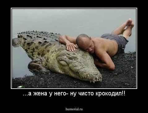 ...а жена у него- ну чисто крокодил!!
