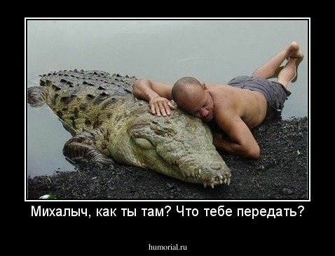 Михалыч, как ты там? Что тебе передать?