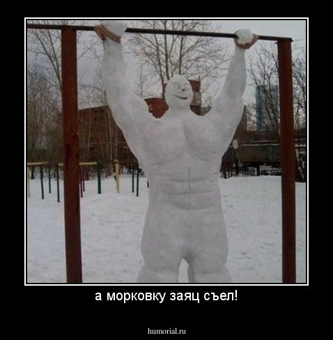 а морковку заяц съел!