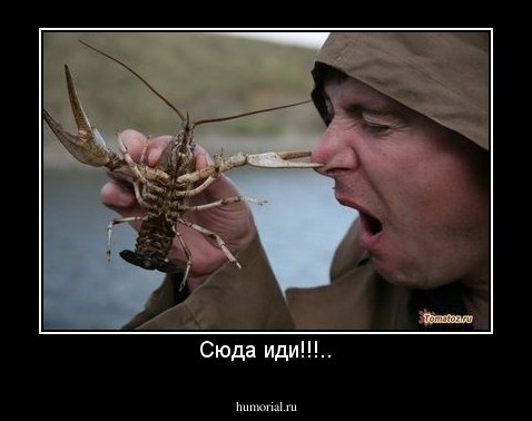 Сюда иди!!!..
