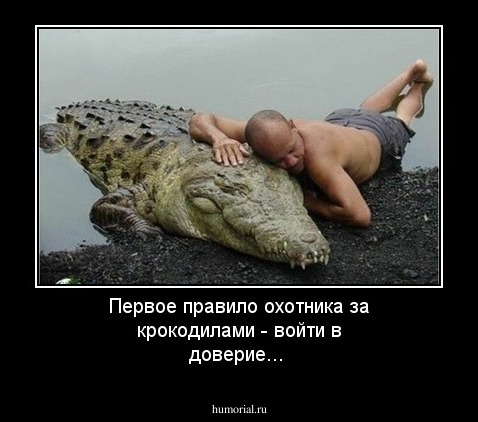 Первое правило охотника за крокодилами - войти в доверие...