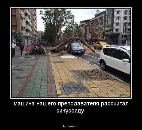 машина нашего преподавателя рассчитал синусоиду 